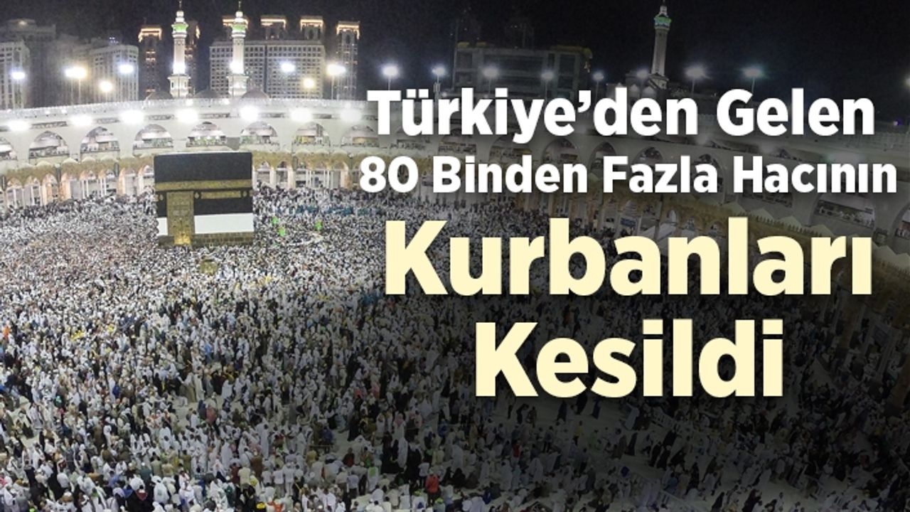 Türkiye'den gelen 80 binden fazla hacının kurbanları kesildi