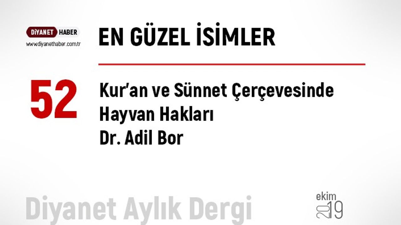 Kur’an ve Sünnet Çerçevesinde Hayvan Hakları