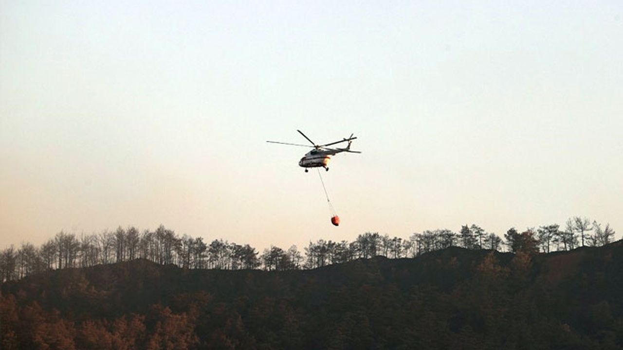 Orman yangınlarına havadan ve karadan müdahale ediliyor