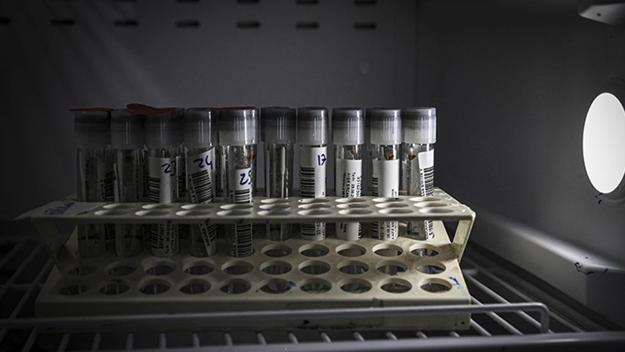 23 Ekim 2021 - Türkiye'nin koronavirüs tablosu