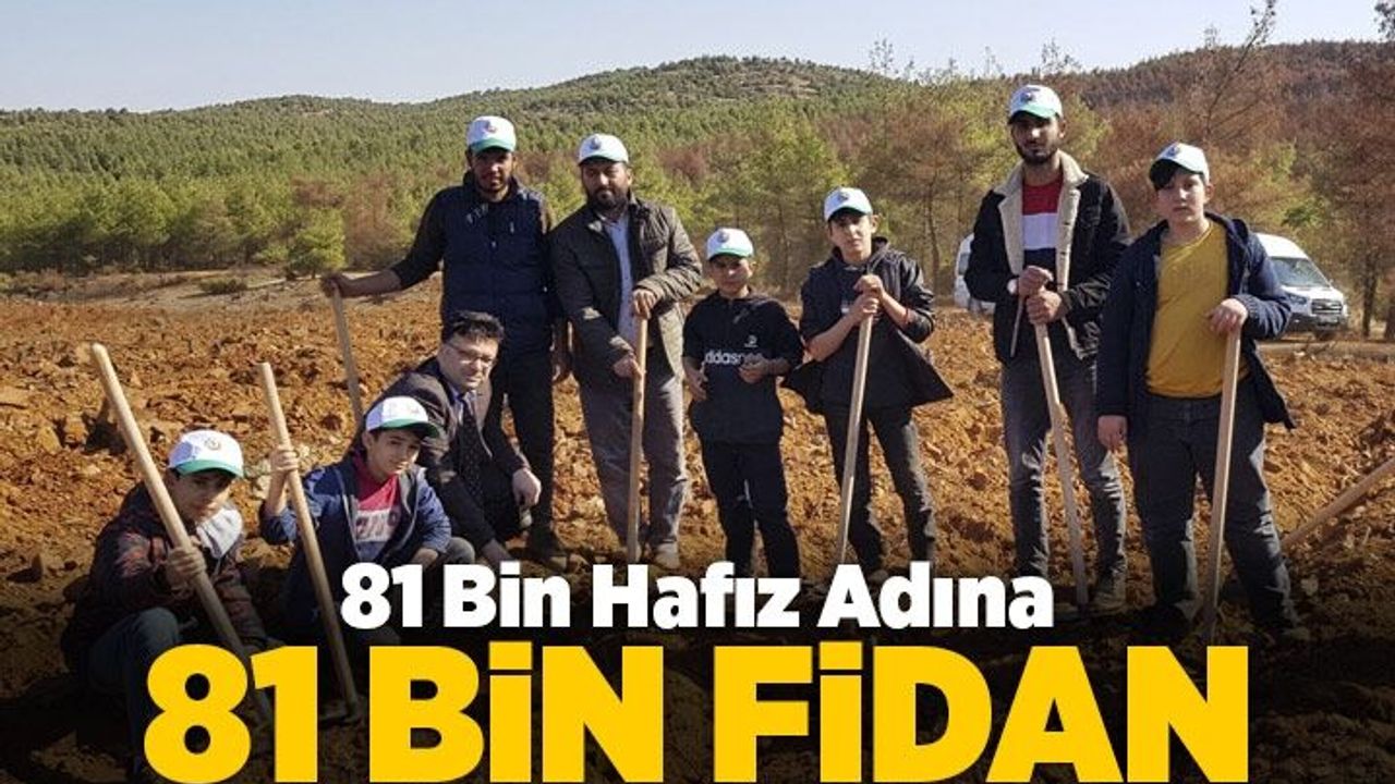81 ilde 81 bin hafız adına 81 bin fidan dikildi