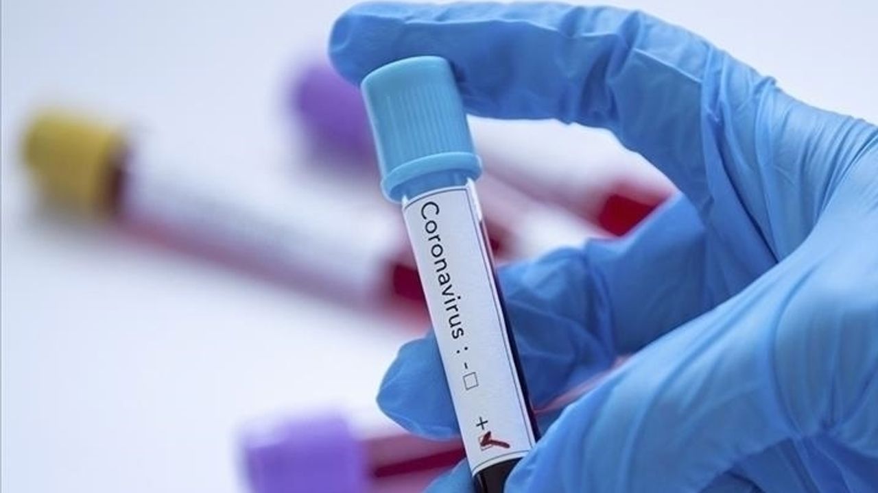 19 Şubat 2022 - Türkiye'nin koronavirüs tablosu