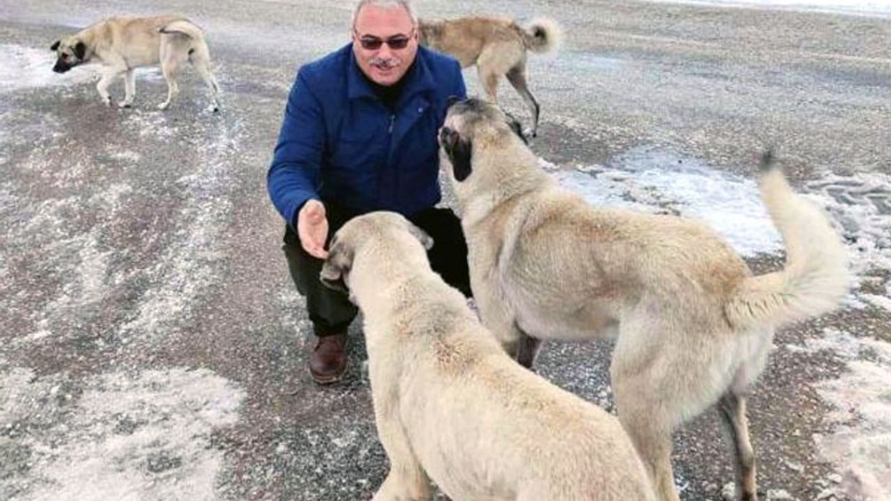 Din görevlisinden vatandaşlara çağrı: Sokak hayvanlarına sahip çıkalım