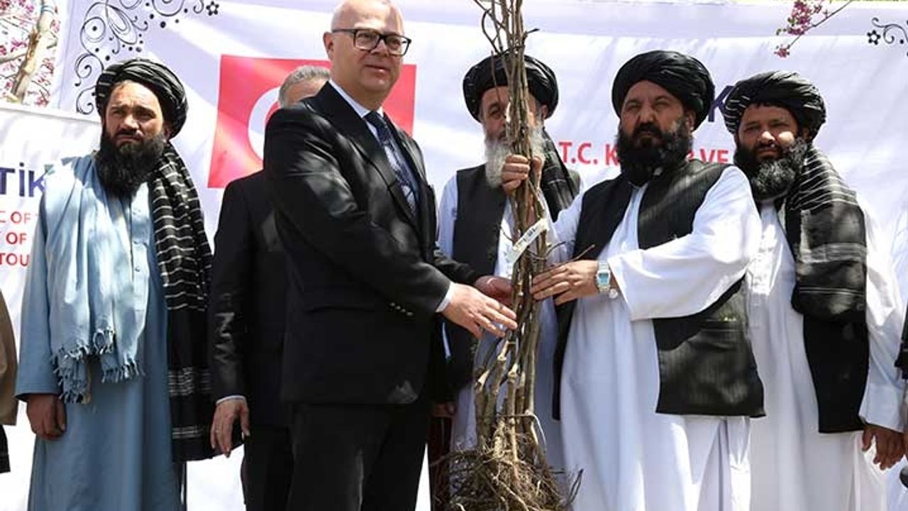 TİKA, Afganistan'a 20 bin meyve fidanı bağışladı