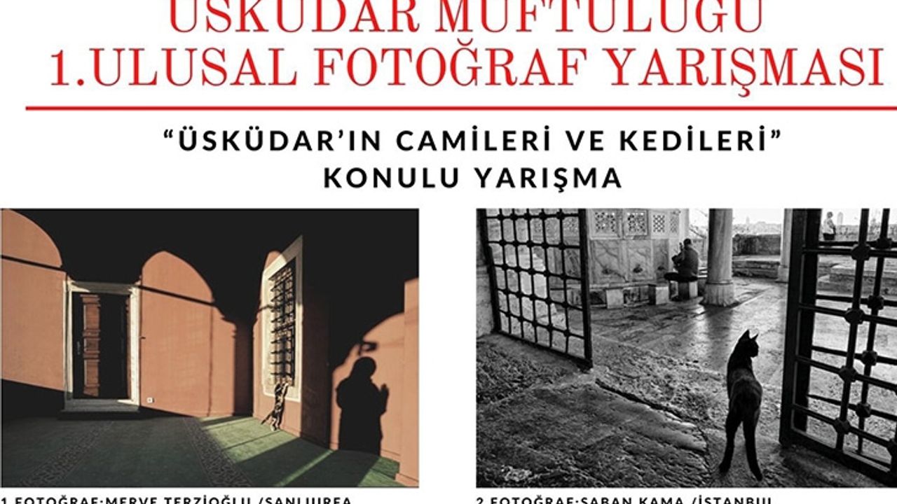 Üsküdar'ın Camileri ve Kedileri Fotoğraf Yarışması sonuçlandı