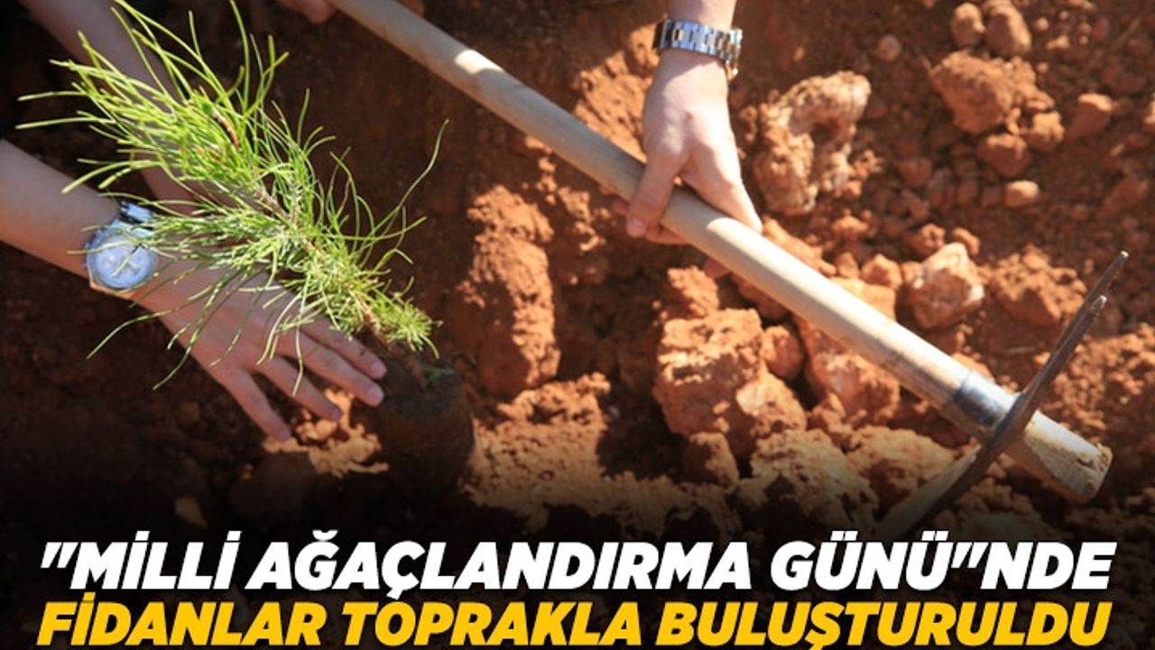 "Milli Ağaçlandırma Günü"nde fidanlar toprakla buluşturuldu
