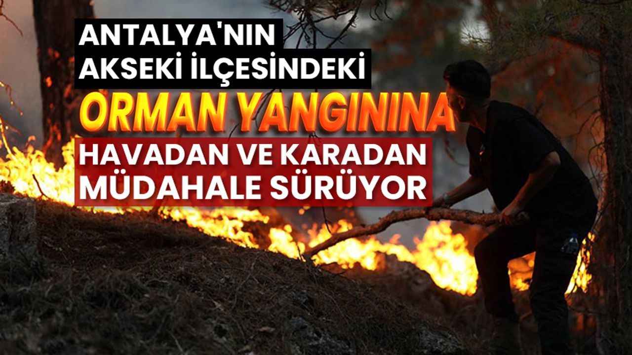 Antalya'nın Akseki ilçesindeki orman yangınına havadan ve karadan müdahale sürüyor