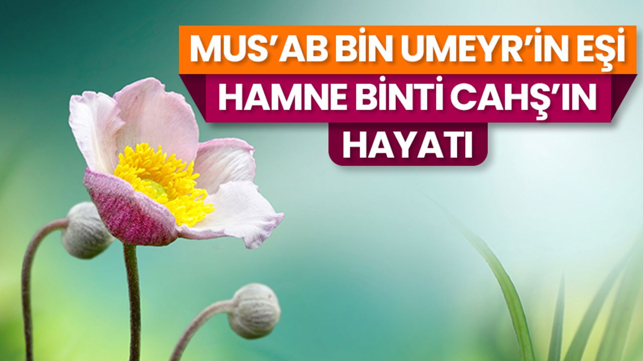 Mus'ab bin Umeyr'in eşi Hamne binti Cahş'ın hayatı