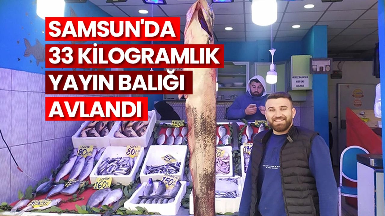 Samsun'da 33 kilogramlık yayın balığı avlandı