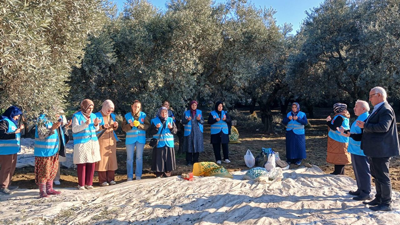 Yatağan’da “Zeytin Hasadı ve Bereket Duası” yapıldı