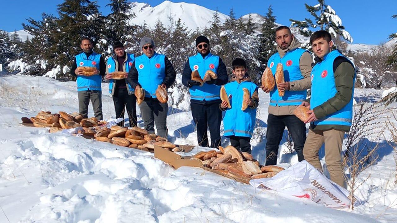 Develi’de yaban hayvanları unutulmadı