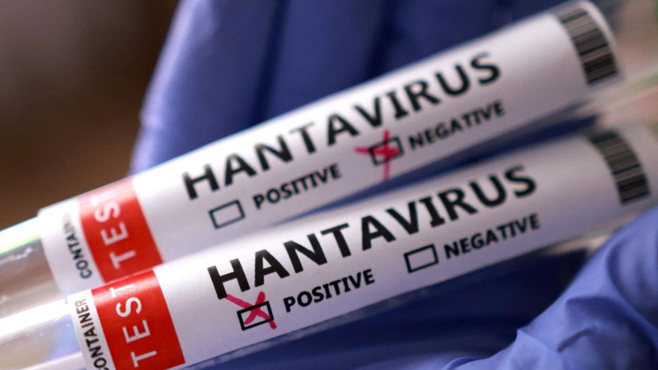 Türkiye'de hantavirüs riski var mı?
