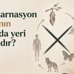Reenkarnasyon inancının İslâm’da yeri var mıdır?