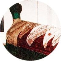 Akşemseddin Kimdir?