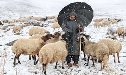 Van ve Hakkari'de kar etkili oldu