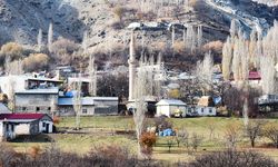 Kars'ta bir köy kuduz nedeniyle karantinaya alındı