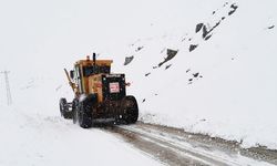 Hakkari'de kar nedeniyle 155 yerleşim biriminin yolu kapandı