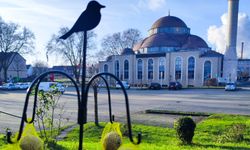 Duisburg Merkez Camii gençleri sokak hayvanları için yem bıraktı