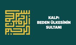 Kalp: Beden Ülkesinin Sultanı