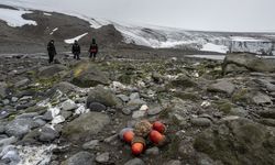3 liseli genç bilim insanı, 7. Ulusal Antarktika Bilim Seferi'ne çıktı