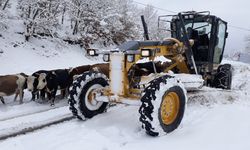 Amasya'da kar nedeniyle 57 köy yolu ulaşıma kapandı