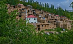 Bitlis'teki tarihi taş evler doğaseverlerin gözdesi oldu