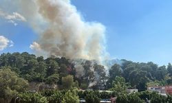 Antalya'da orman yangını başladı