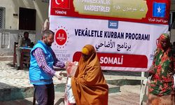TDV, 1 milyona yakın Somaliliye kurban eti ulaştırdı