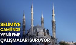 Selimiye Camii'nde yenileme çalışmaları sürüyor