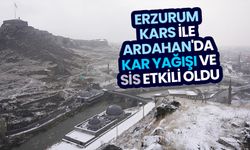 Erzurum, Kars ile Ardahan'da kar yağışı ve sis etkili oldu