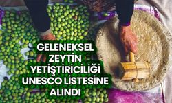 Geleneksel zeytin yetiştiriciliği UNESCO listesine alındı