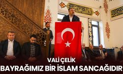 Vali Çelik: Bayrağımız bir İslam sancağıdır