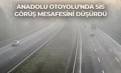 Anadolu Otoyolu'nda sis görüş mesafesini düşürdü