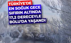 Türkiye'de en soğuk gece sıfırın altında 17,2 dereceyle Bolu'da yaşandı