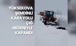 Yüksekova-Şemdinli kara yolu çığ nedeniyle kapandı