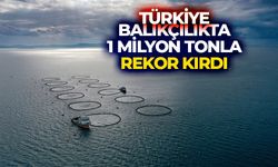 Türkiye balıkçılıkta geçen yıl 1 milyon tonla rekor kırdı