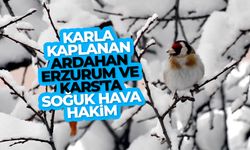 Karla kaplanan Ardahan, Erzurum ve Kars'ta soğuk hava hakim