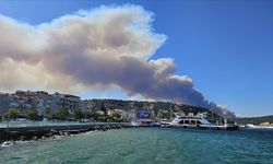 Çanakkale Boğazı'nda gemi trafiği orman yangını nedeniyle tek yönlü askıya alındı