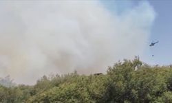 Manisa'nın Kula ilçesinde çıkan orman yangınına müdahale ediliyor