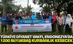 Türkiye Diyanet Vakfı, Endonezya'da 1200 büyükbaş kurbanlık kesecek