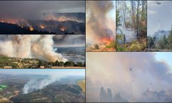 Yurdun çeşitli bölgelerinde çıkan orman yangınlarına müdahaleler devam ediyor