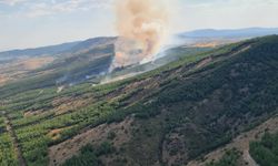 Denizli Çivril'de çıkan orman yangınına müdahale ediliyor