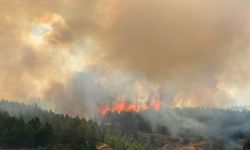 Kastamonu'da ormanlık alanda çıkan yangına müdahale ediliyor