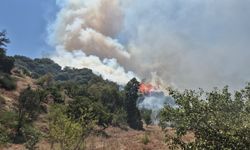 Manisa Turgutlu'da ormana sıçrayan yangına müdahale ediliyor