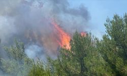 Balıkesir'de çıkan orman yangınına müdahale ediliyor