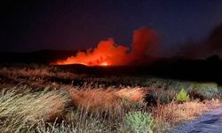 Çanakkale'nin Ayvacık ilçesinde çıkan orman yangınına müdahale ediliyor