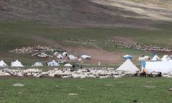 Erzurum'daki Dumlubaba Yaylası'nda göçerlerin günlük yaşamı zorlu geçiyor