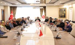 TDV Kadın Kolları İç Anadolu Bölge İstişare Toplantısı Kayseri’de yapıldı