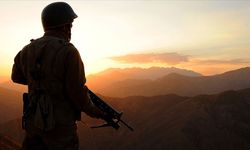 Irak ve Suriye'nin kuzeyinde tespit edilen 15 PKK'lı terörist etkisiz hale getirildi