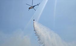 İzmir Dikili'de çıkan orman yangınına müdahale ediliyor